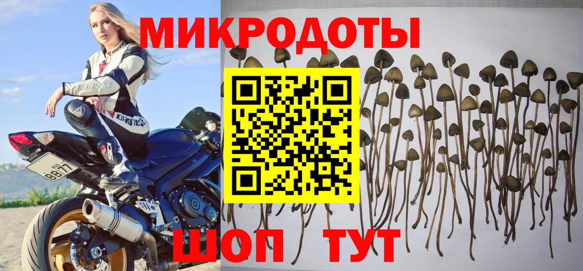 Псилоцибиновые грибы мицелий  Боровичи  Псилоцибиновые грибы мухоморы 