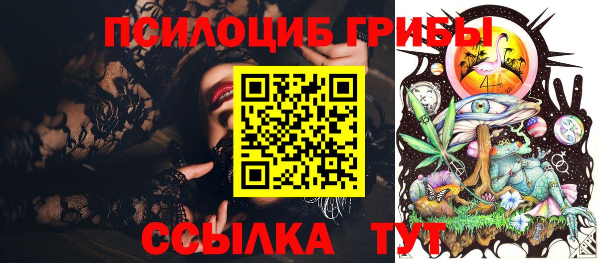Галлюциногенные грибы MAGIC MUSHROOMS  Вход с VPN  Боровичи 
