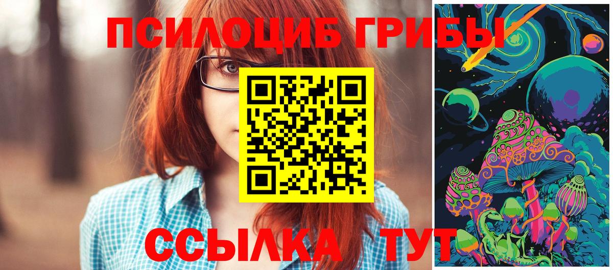 Псилоцибиновые грибы прущие грибы Боровичи