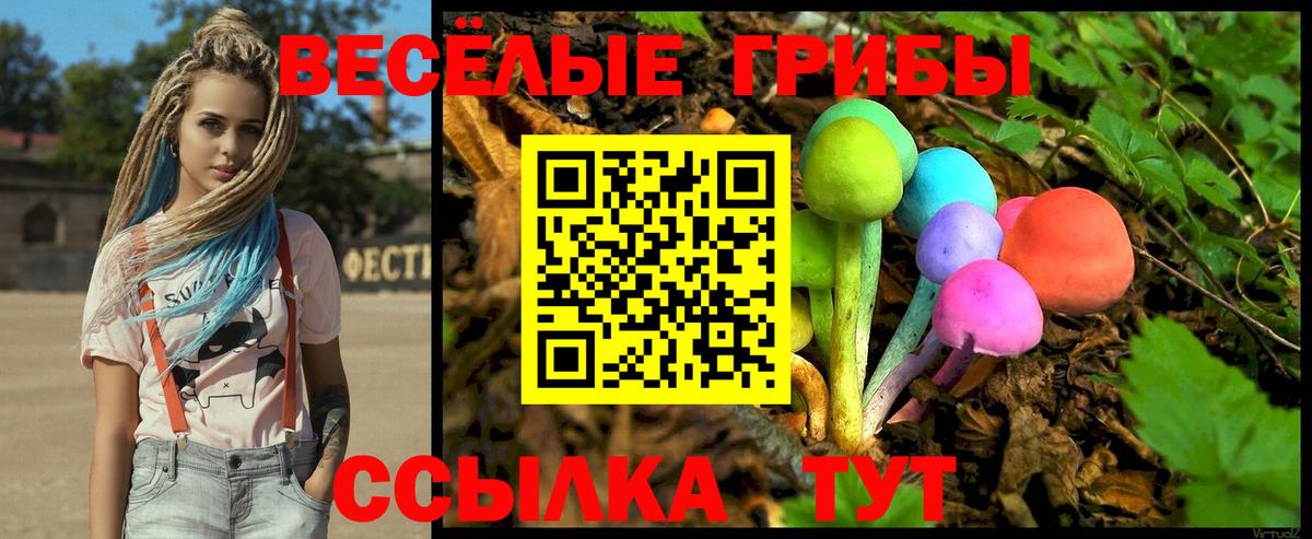 Псилоцибиновые грибы мицелий Боровичи