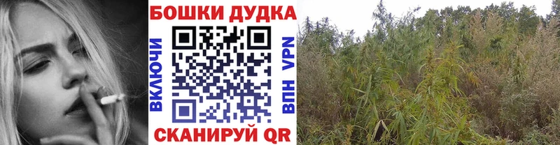 дарнет шоп  hydra ТОР  Шишки марихуана LSD WEED  Боровичи 